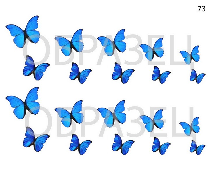 Слайдер-дизайн "Бабочка голубая сказка 73"