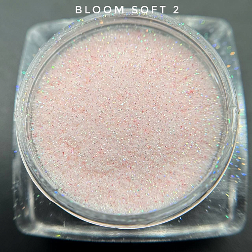 Bloom, блестки Soft №2