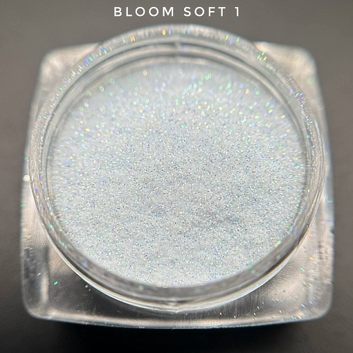 Bloom, блестки Soft №1