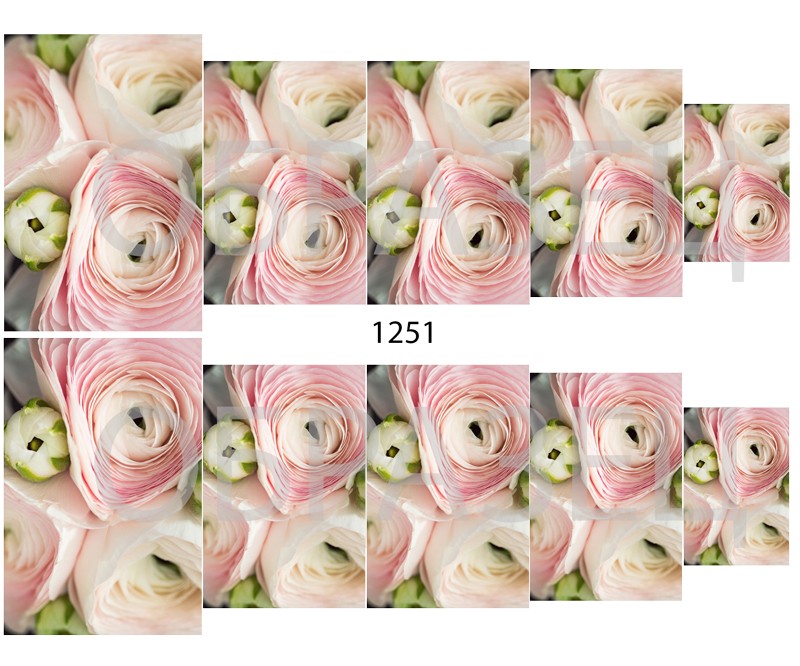 Слайдер-дизайн "розы 1251"