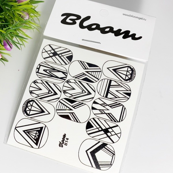 Bloom, слайдер-дизайн B14 Bloom, слайдер-дизайн B14