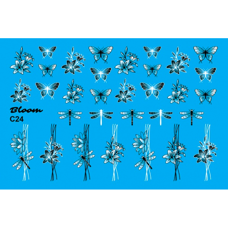 Bloom, слайдер-дизайн C24