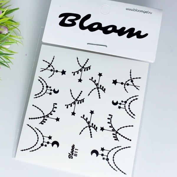 Bloom, слайдер-дизайн B11