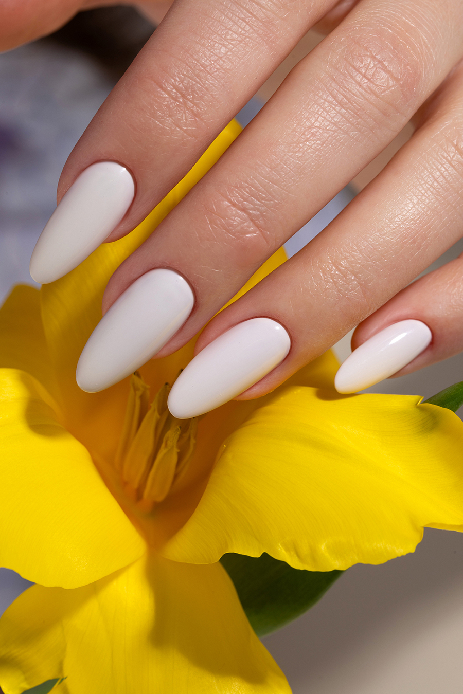 Дизайн ногтей. Товар: Monami, French Meadow - гель-лак (Silk Whisper), 8 гр