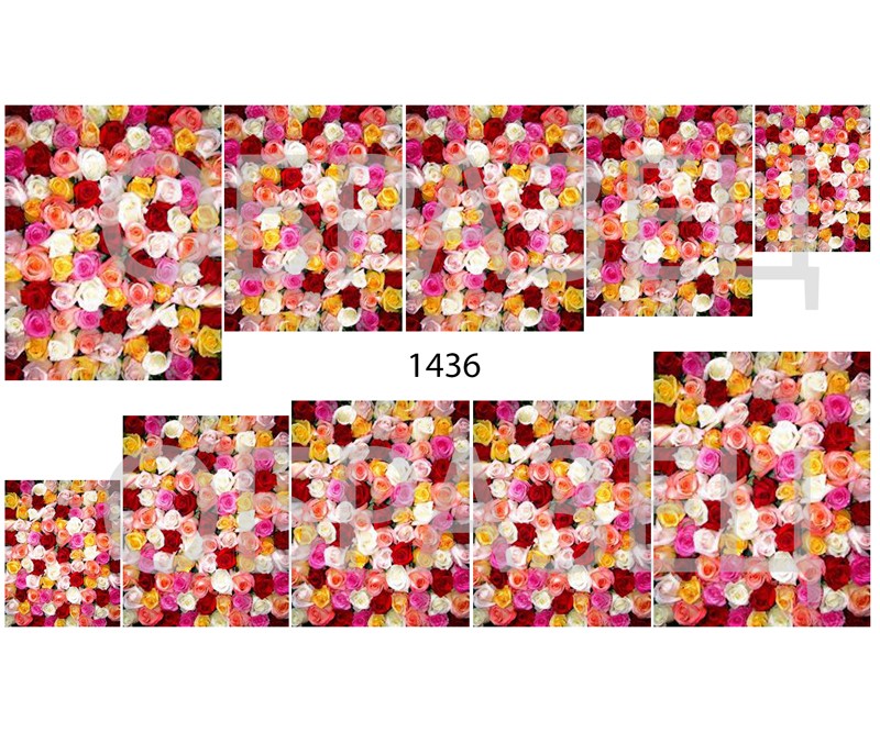 Слайдер-дизайн "Цветы 1436"