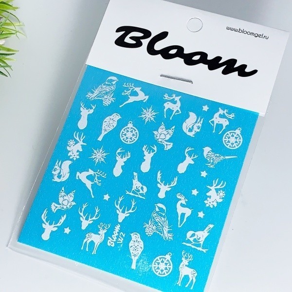 Bloom, слайдер-дизайн W2