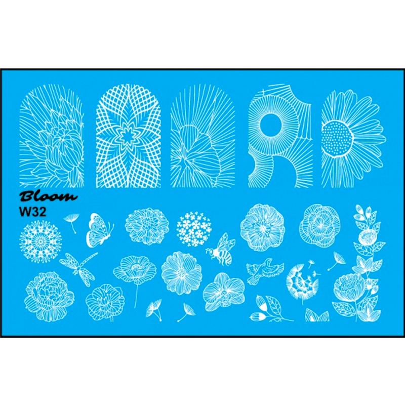 Bloom, слайдер-дизайн W32 Bloom, слайдер-дизайн W32