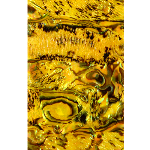 Artex, декор "Ракушка" раскатанная (желтая)