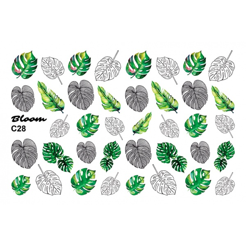 Bloom, слайдер-дизайн C28 Bloom, слайдер-дизайн C28