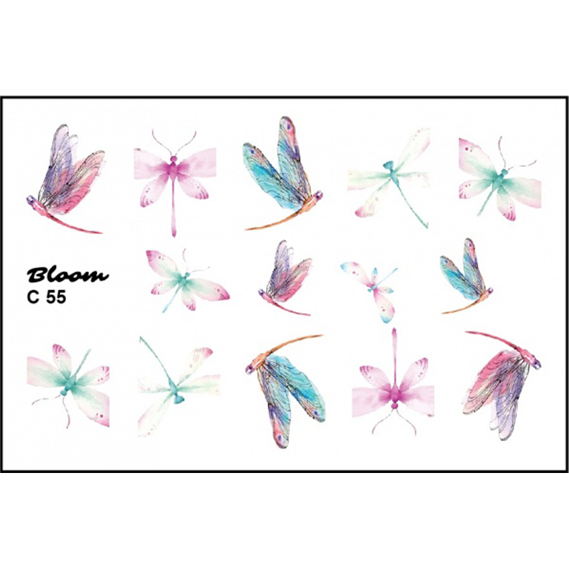 Bloom, слайдер-дизайн C55 Bloom, слайдер-дизайн C55