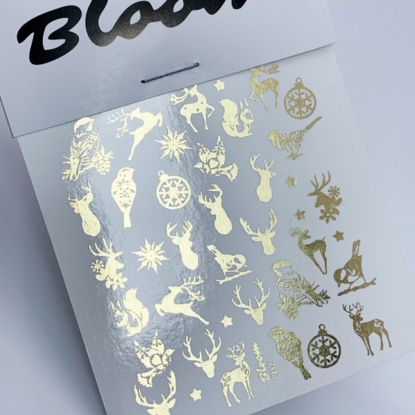 Bloom, слайдер-дизайн FG2 Bloom, слайдер-дизайн FG2