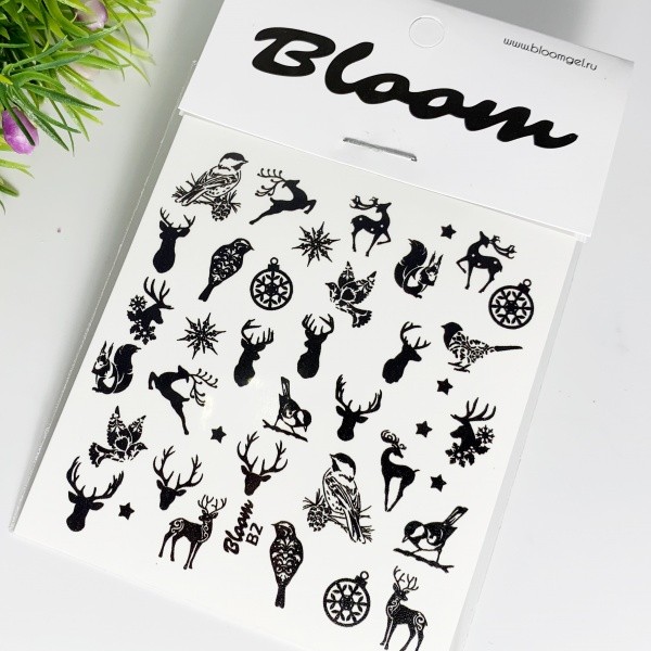 Bloom, слайдер-дизайн B2 Bloom, слайдер-дизайн B2
