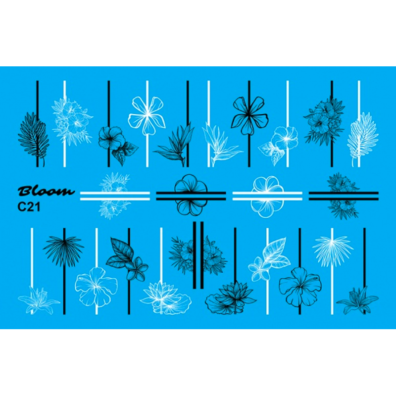 Bloom, слайдер-дизайн C21