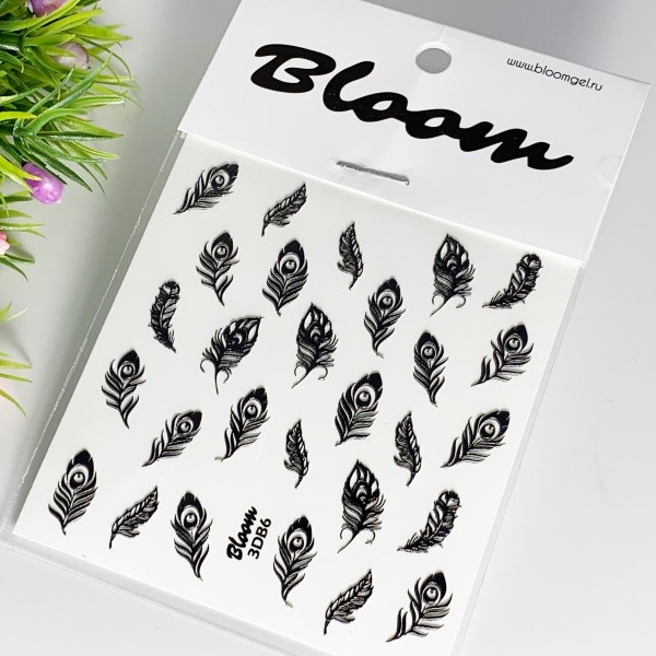 Bloom, 3-D слайдер B6