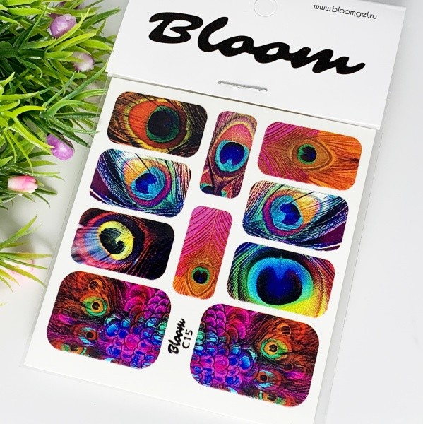 Bloom, слайдер-дизайн C15 Bloom, слайдер-дизайн C15