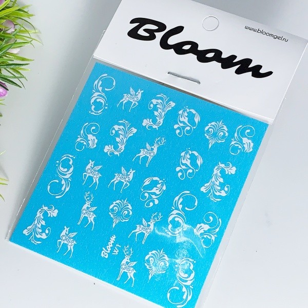 Bloom, слайдер-дизайн W1 Bloom, слайдер-дизайн W1