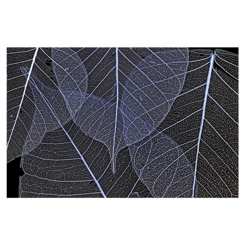 Irisk, фотофон виниловый для предметной съемки А3 (темные листья)