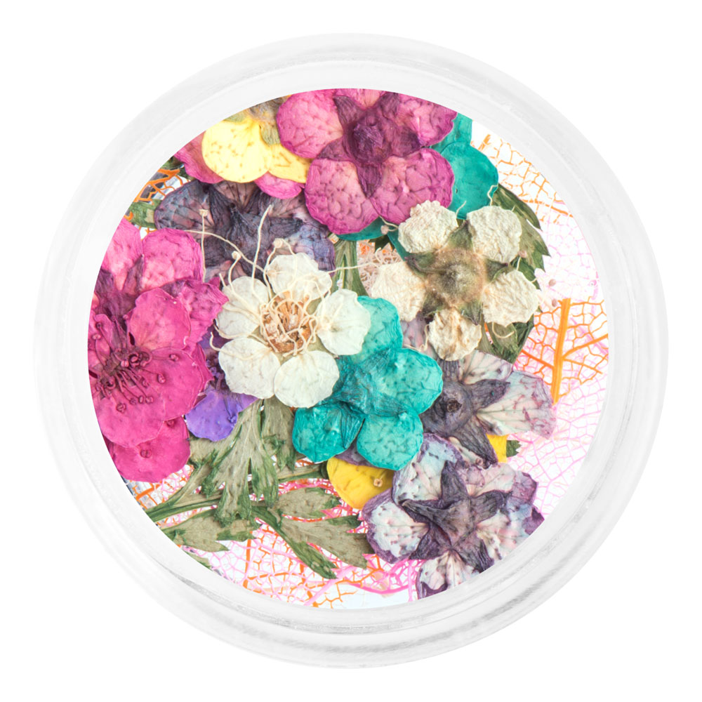 Irisk, сухоцветы набор в баночке (№01)