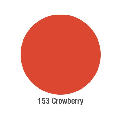 Irisk, пигмент PmExpert Velvet pigments для татуажа губ (№153 Crowberry), 12мл