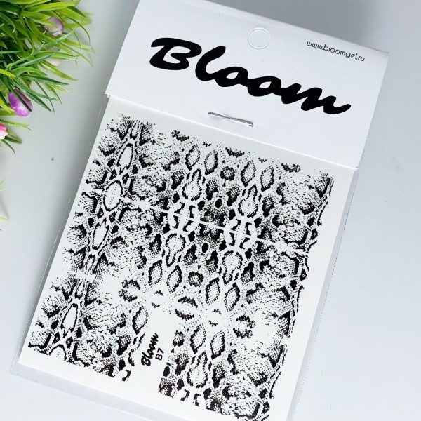 Bloom, слайдер-дизайн B7 Bloom, слайдер-дизайн B7