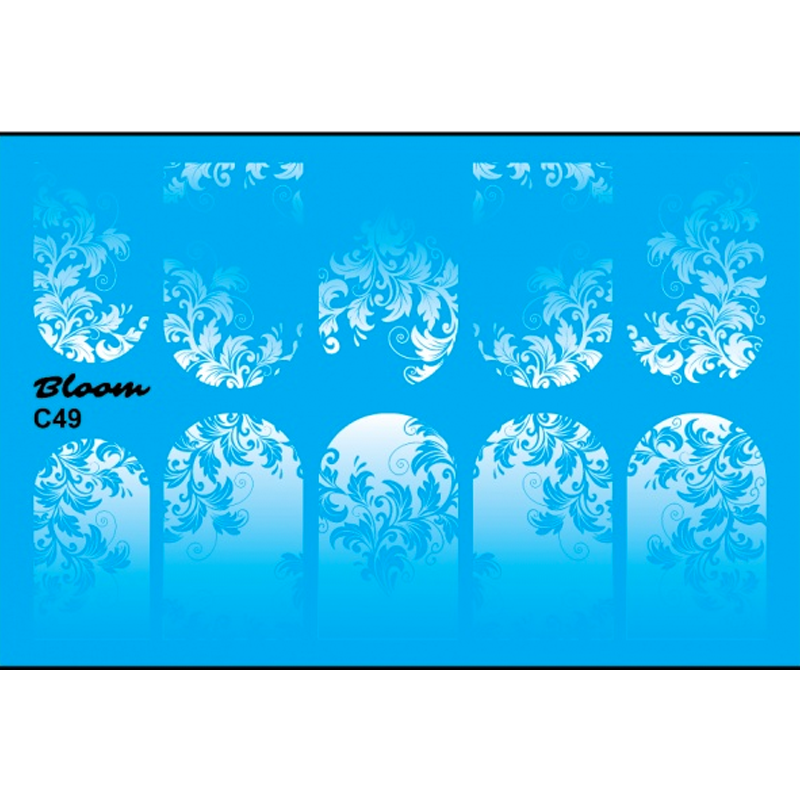 Bloom, слайдер-дизайн C49 Bloom, слайдер-дизайн C49