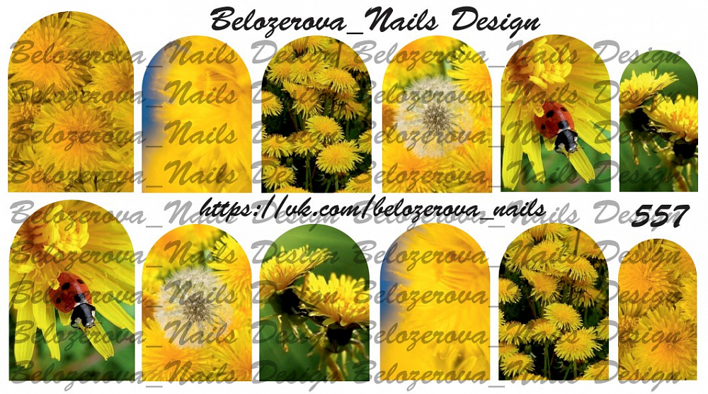 Слайдер-дизайн Belozerova Nails Design на прозрачной пленке (557)