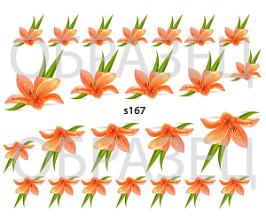 Слайдер-дизайн "Оранжевые лилии s167"