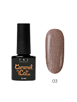 TNL, Caramel Cat - гель-лак "корейская кошка" №03 (магический трюфель), 6 мл