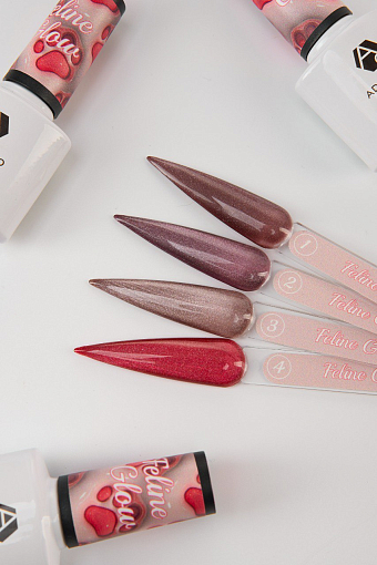 Adricoco, набор №183 гель-лак "корейская кошка" Feline Glow (4 оттенка по 8 мл)