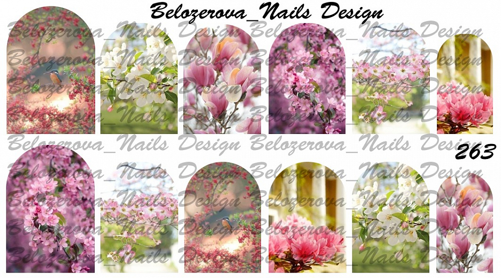 Слайдер-дизайн Belozerova Nails Design на прозрачной пленке (263)