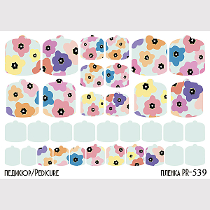 Anna Tkacheva, наклейки пленки для педикюра PR-539