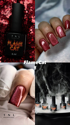 TNL, Flame Cat - гель-лак "корейская кошка" №01 (горячее сердце), 6 мл