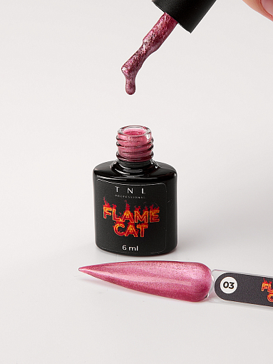 TNL, набор №238 гель-лак "корейская кошка" Flame Cat (5 оттенков по 6 мл)