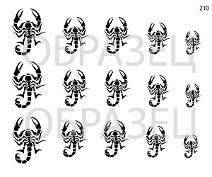 Слайдер-дизайн "Скорпионы 210"