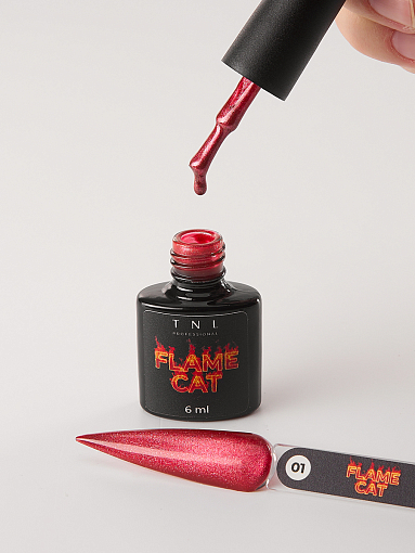 TNL, набор №238 гель-лак "корейская кошка" Flame Cat (5 оттенков по 6 мл)