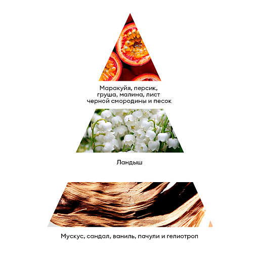 RuNail, парфюмированный диффузор (маракуйя, персик, сандал), 100 мл