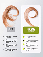 TNL, набор №213 шампунь и бальзам для волос кератиновый комплекс WEEL, 2 х 1000 мл