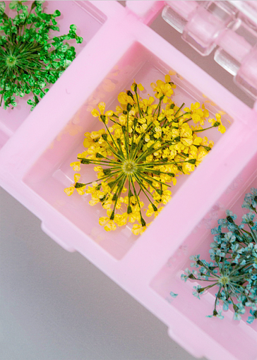 Сухоцветы зонтик в контейнере (12 цветов)
