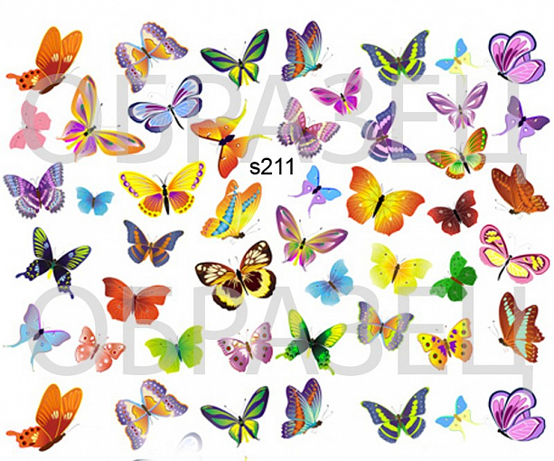 Слайдер-дизайн "Разноцветные бабочки s211"