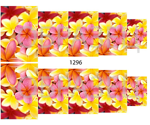 Слайдер-дизайн "цветы 1296"