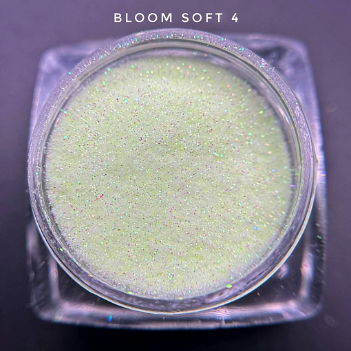 Bloom, блестки Soft №4
