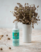 E.Co Nails, Sanitizer - универсальное очищающее средство (с распылителем), 150 мл