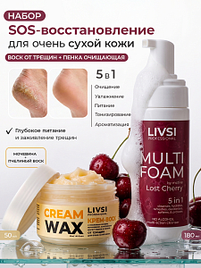 Livsi, набор №118 универсальная пенка 5в1 Lost Cherry, крем-воск для ухода за кожей рук, ног и тела