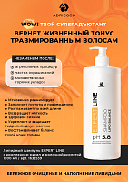 Adricoco, набор №114 липидный шампунь, липидная маска-реноватор для волос с комплексом масел