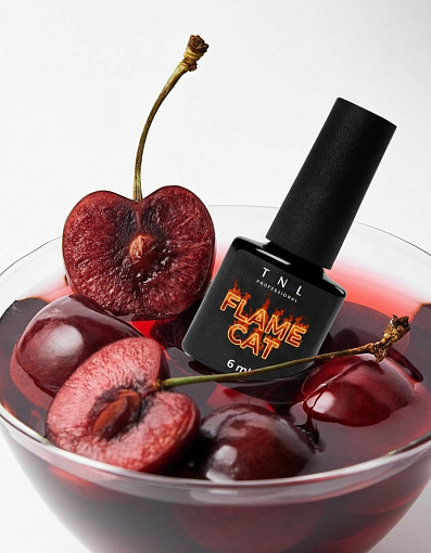 TNL, набор №238 гель-лак "корейская кошка" Flame Cat (5 оттенков по 6 мл)