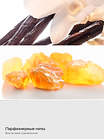 TNL, Hand Soap - парфюмированное жидкое мыло для рук (Ваниль и амбра), 300 мл