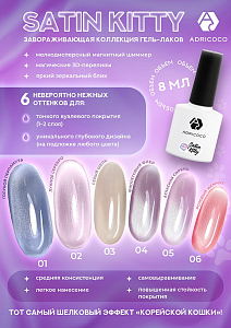 Adricoco, набор №89 магнитный гель-лак "корейская кошка" Satin Kitty (6 оттенков по 8 мл)
