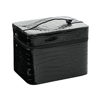 Irisk, Саквояж профессиональный средний кожаный (Черный, 24х18х18 см)
