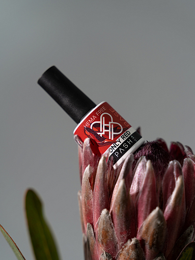 PASHE, набор №10 жесткая каучуковая цветная база HEMA-Free Only Red (8 оттенков по 9 мл)