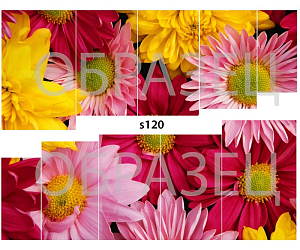Слайдер-дизайн "Летние цветы s120"